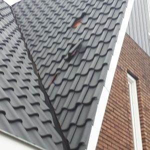 Dak_Stormschade_Hazel