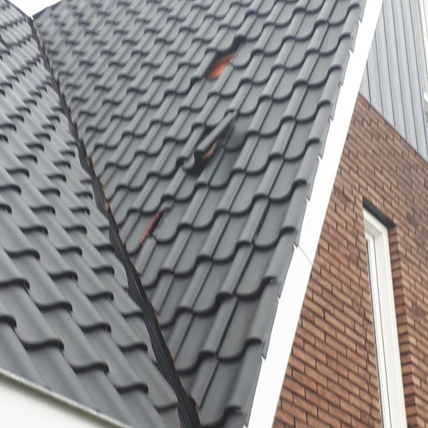 Dak_Stormschade_Hazel